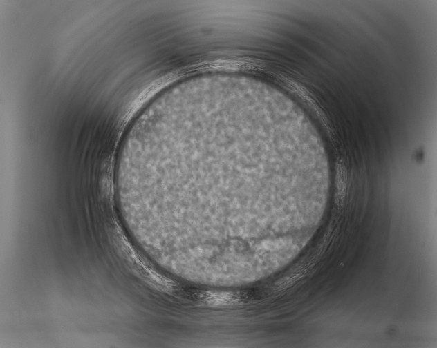 X0000115210794200912091157