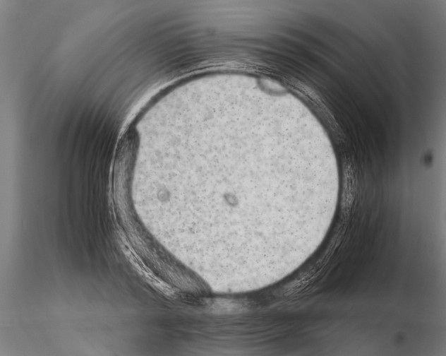 X0000115210796200912091157