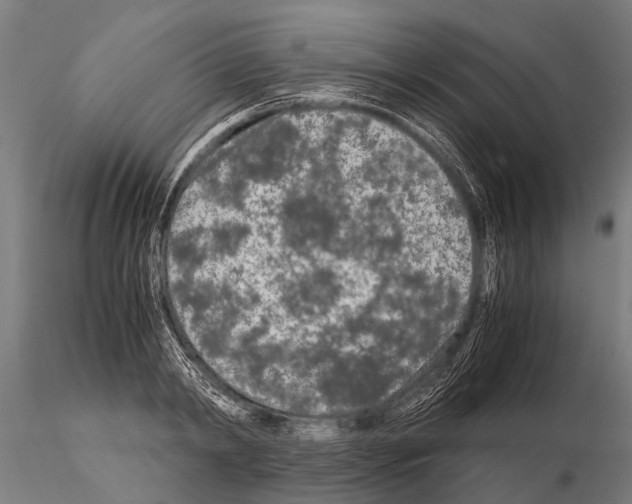 X0000115210798200912091157