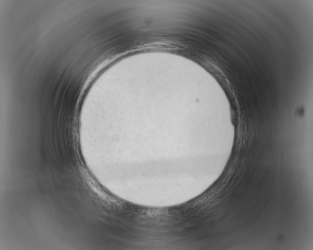 X0000115210800200912091156