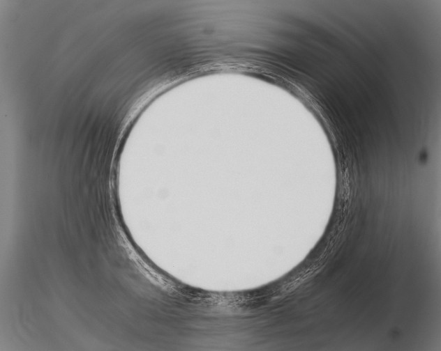 X0000115210803200912091156