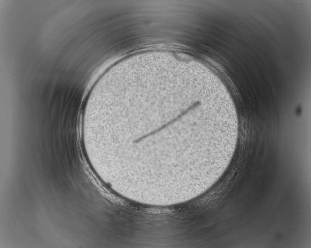 X0000115210804200912091156