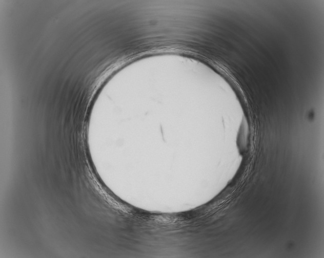 X0000115210805200912091156