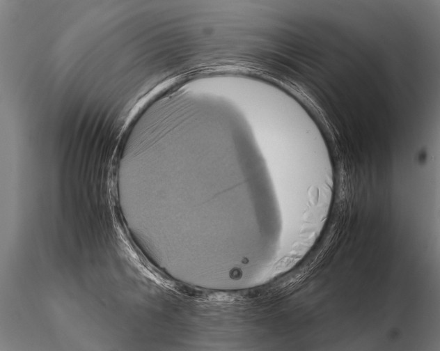 X0000115210806200912091156