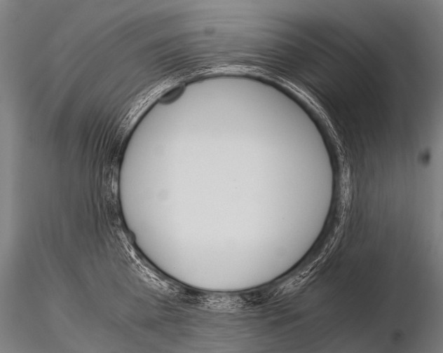 X0000115210809200912091156