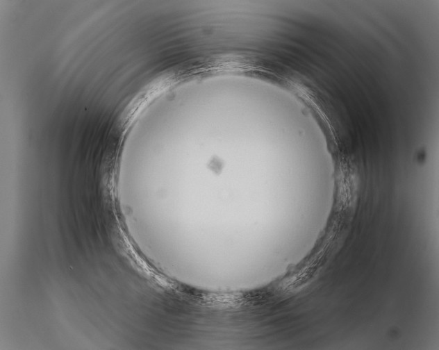 X0000115210810200912091156