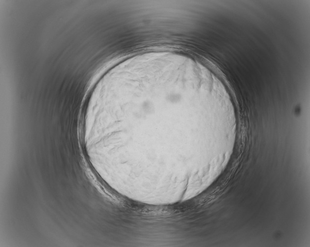 X0000115210811200912091156