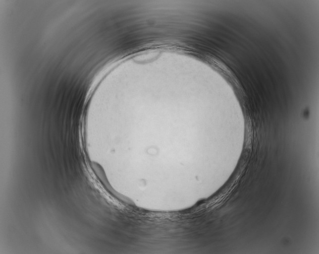 X0000115210812200912091156