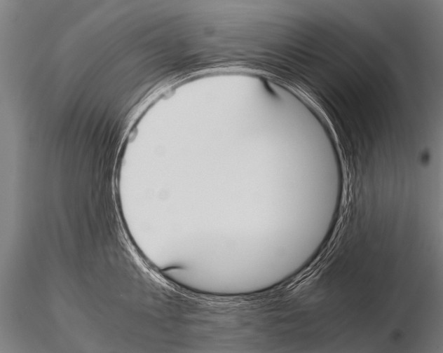 X0000115210813200912091156