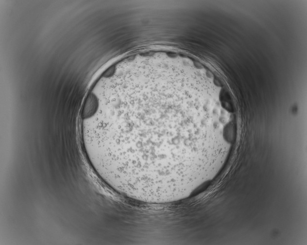 X0000115210814200912091156