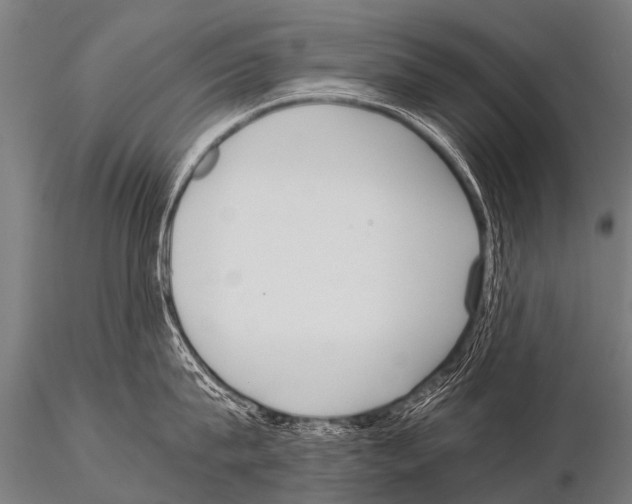 X0000115210815200912091156