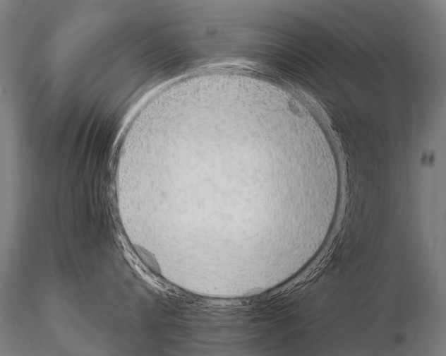 X0000115210816200912091156