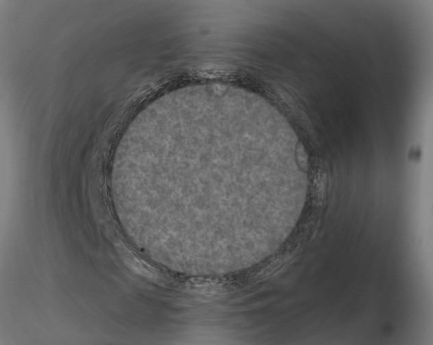 X0000115210817200912091155