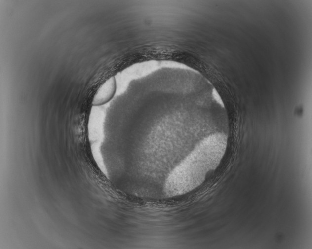 X0000115210818200912091155