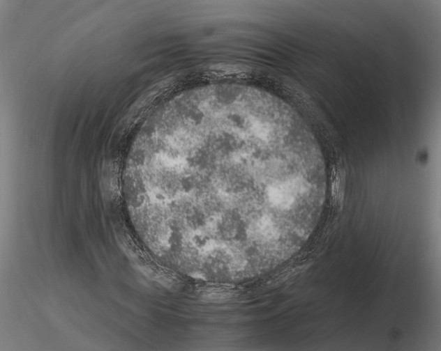 X0000115210819200912091155