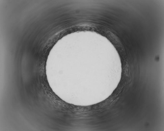 X0000115210821200912091155