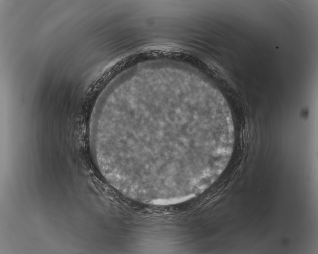 X0000115210822200912091155