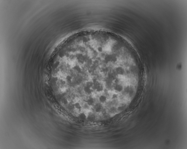 X0000115210823200912091156