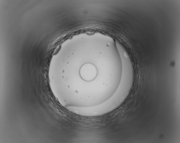 X0000115210824200912091156