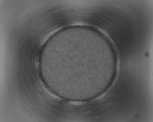 X0000115210825200912091156