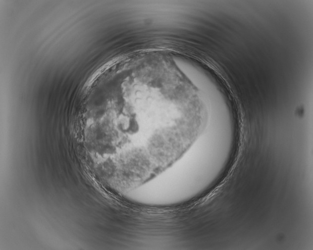 X0000115210826200912091156