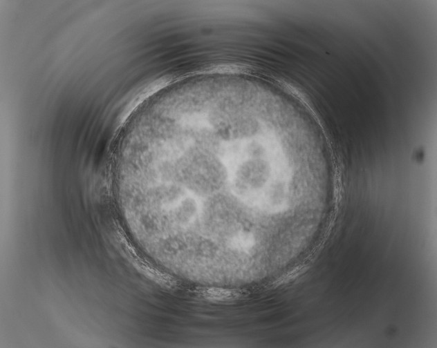 X0000115210827200912091156