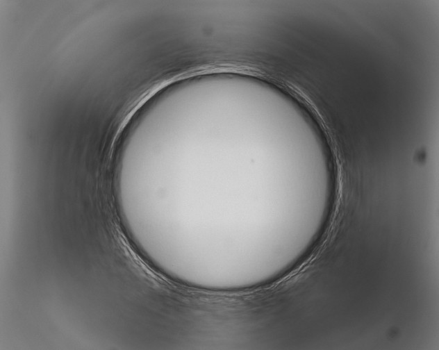 X0000115210828200912091156