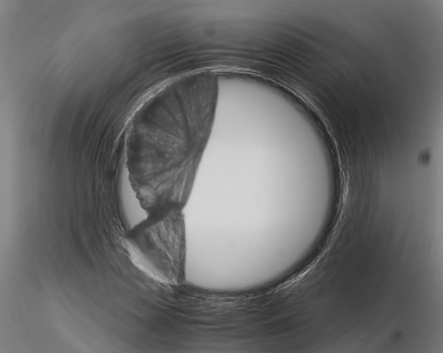 X0000115210829200912091156