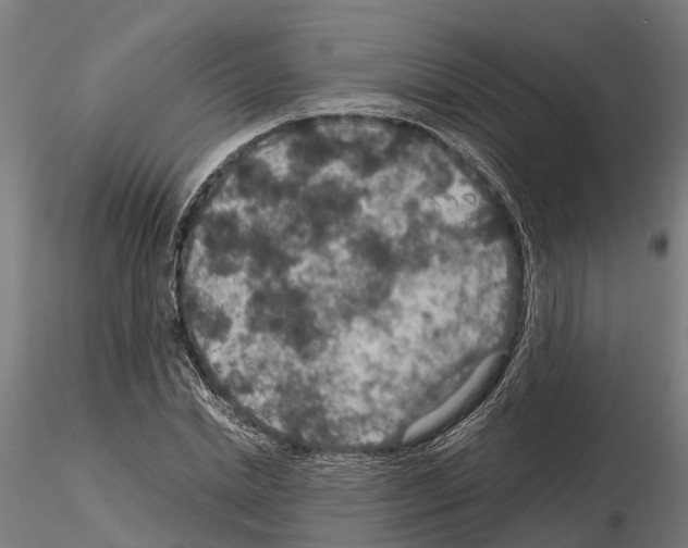 X0000115210830200912091156