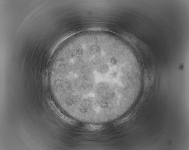 X0000115210831200912091156