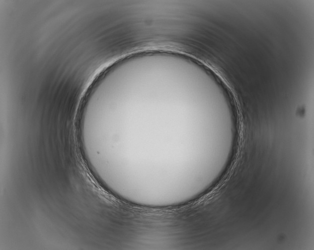 X0000115210832200912091156