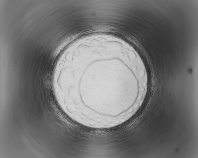 X0000115210834200912091156