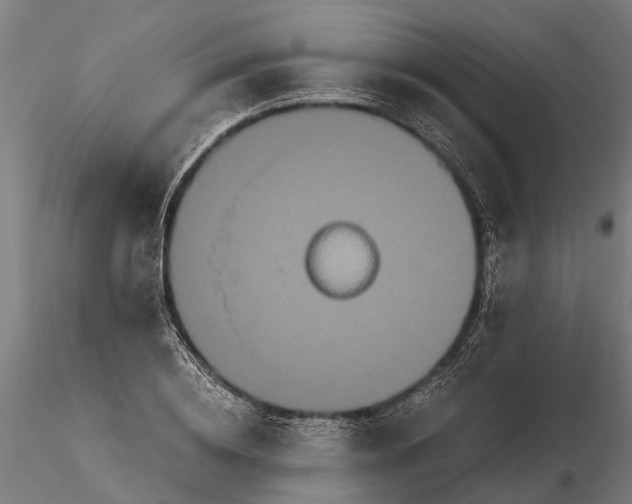 X0000115210836200912091156