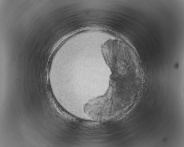 X0000115210837200912091156