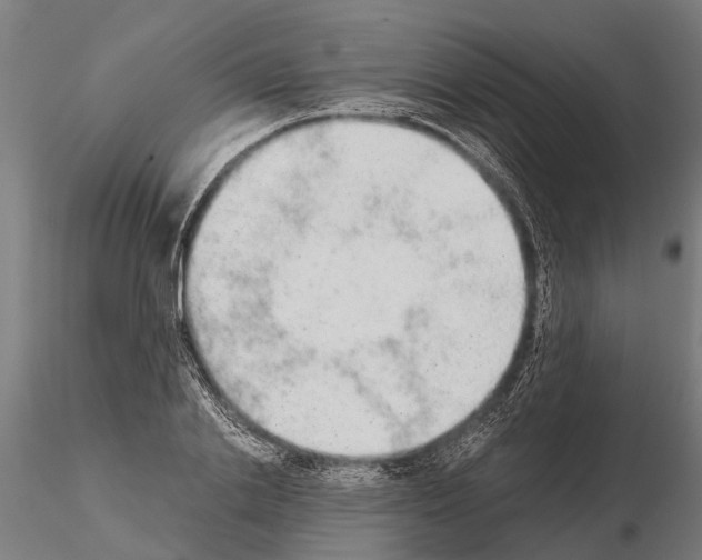 X0000115210838200912091156