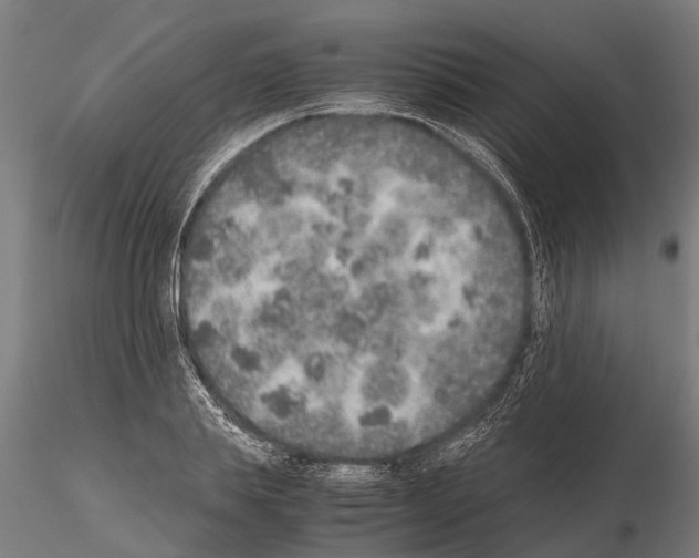 X0000115210839200912091156