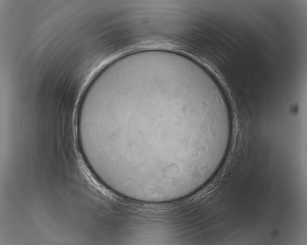 X0000115210840200912091156