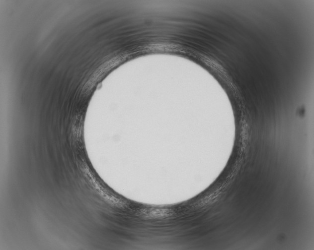 X0000115210841200912091156