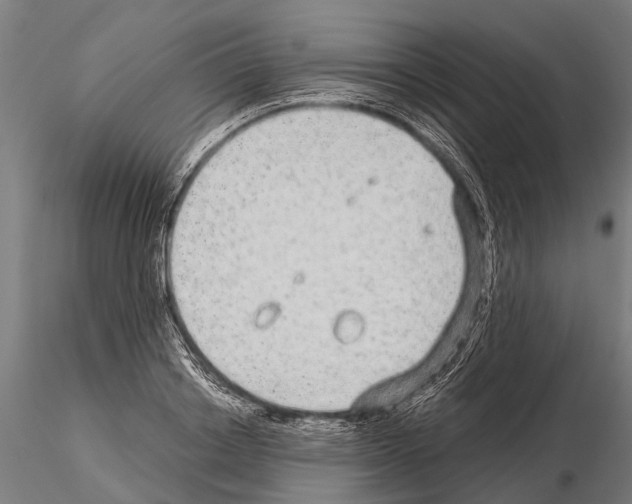 X0000115210842200912091156