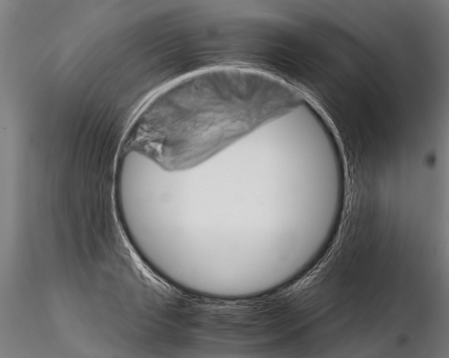 X0000115210845200912091156