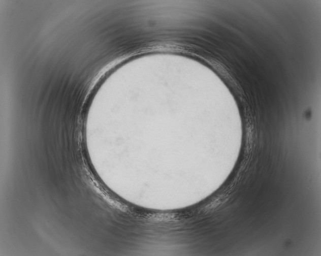 X0000115210846200912091156