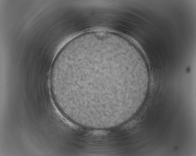 X0000115210847200912091156