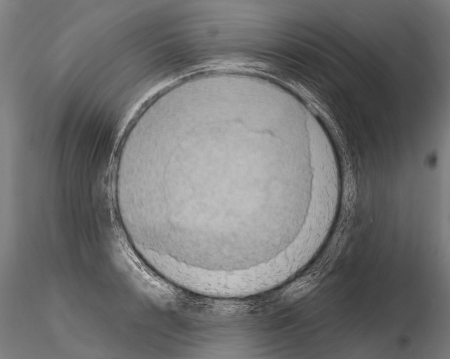 X0000115210848200912091156