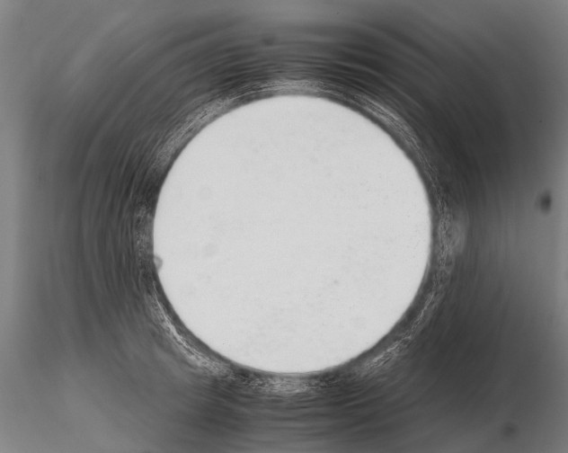 X0000115210849200912091156