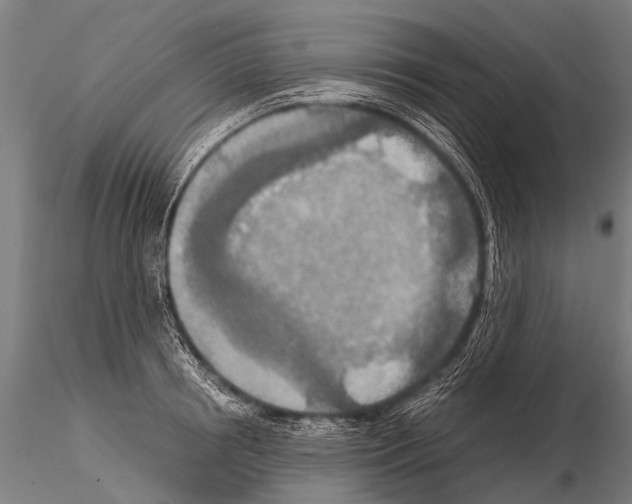 X0000115210850200912091156