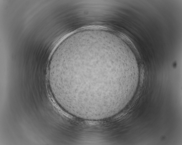 X0000115210852200912091156