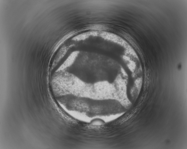 X0000115210853200912091156