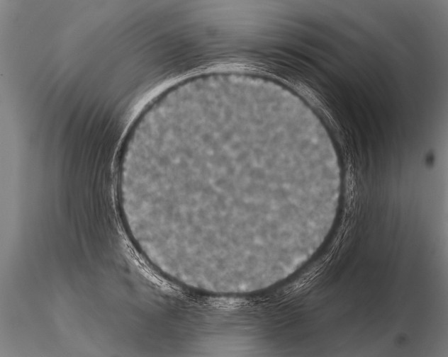 X0000115210854200912091156