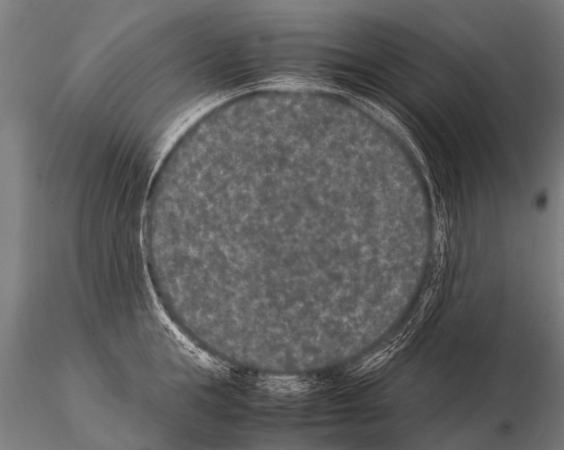 X0000115210855200912091156