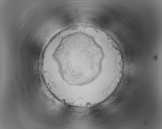 X0000115210856200912091156